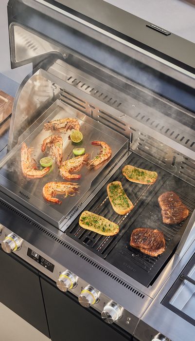 Mileu Master Grate Cooking System Fire Pro L 20000223885